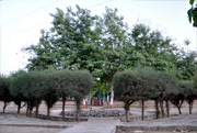 Shree Krishna Holiday Resort