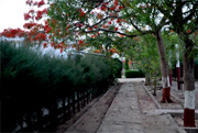 Shree Krishna Holiday Resort